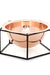 Penta Bowl - Standard / Copper and Mild Steel - Decor