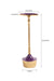 Perch Aluminium Accent Table - INCH:- L:- 8.75 x W:- 8.75 x H:- 23 / Aluminium - Indoor Furniture