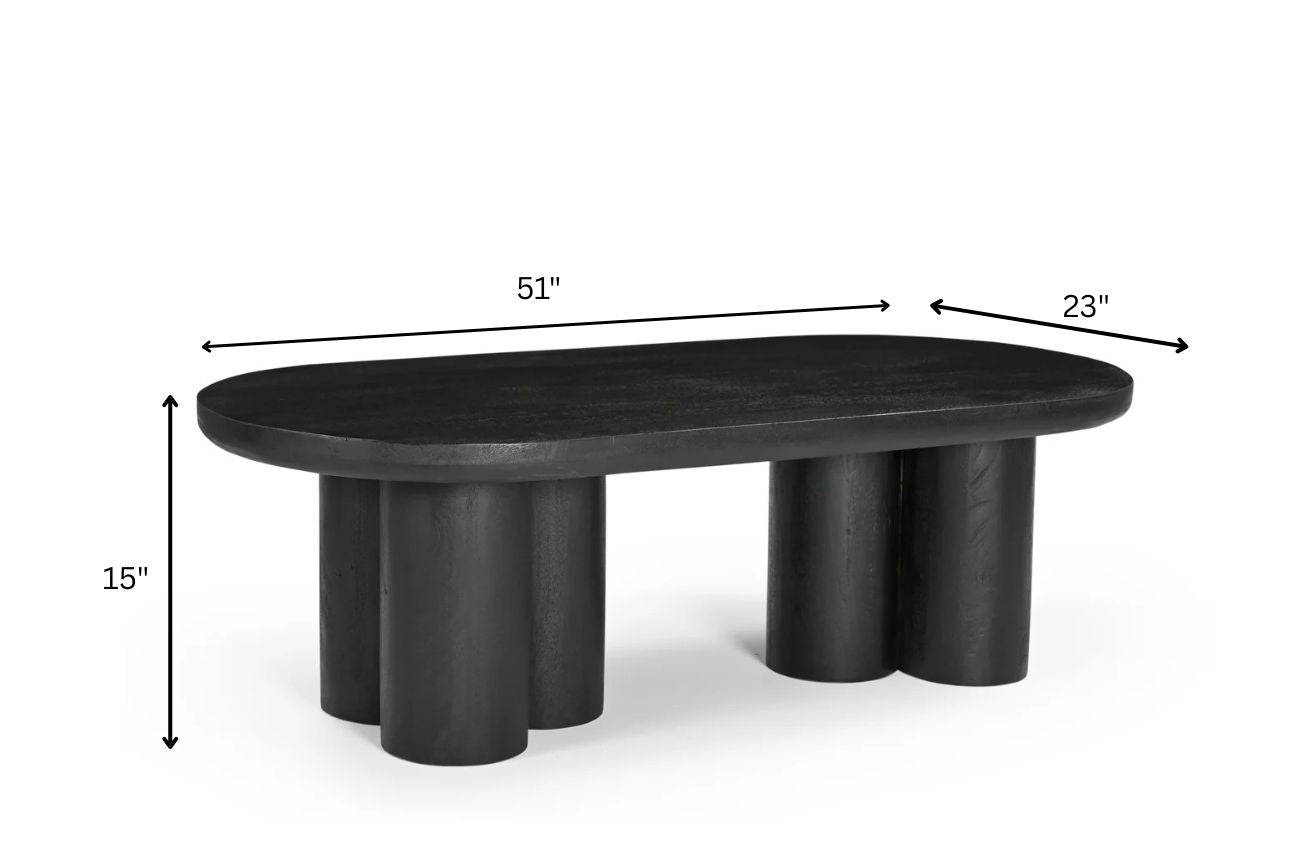 Petra Coffee Table - L: 129.54 x W: 58.42 x H: 38.10 cms / Mango Wood / Black - Indoor Furniture