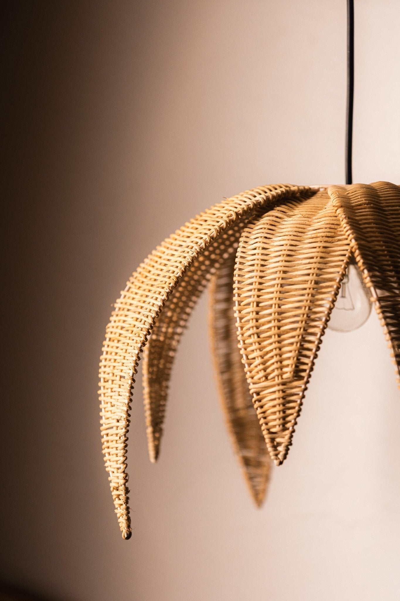 Decorative wicker plant with a blurred background