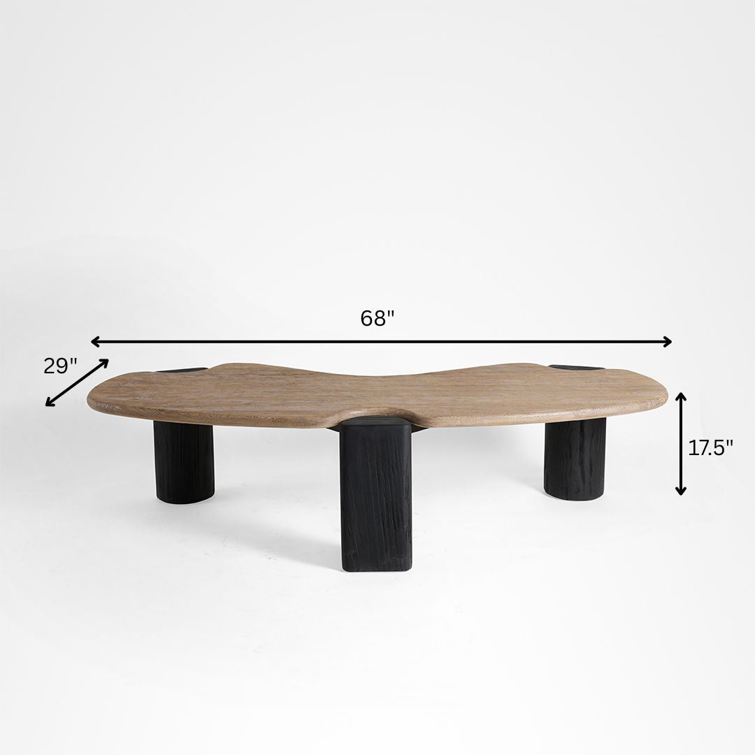 Riverbend Coffee Table - L:68x W:29 x H:17.5 In inches / Mango Wood Top and Pine Wood Base / Black - Indoor Furniture