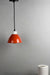 Rusty Orange Shell - Lighting