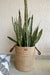 Seagrass Dense Storage Basket With Handle - Decor