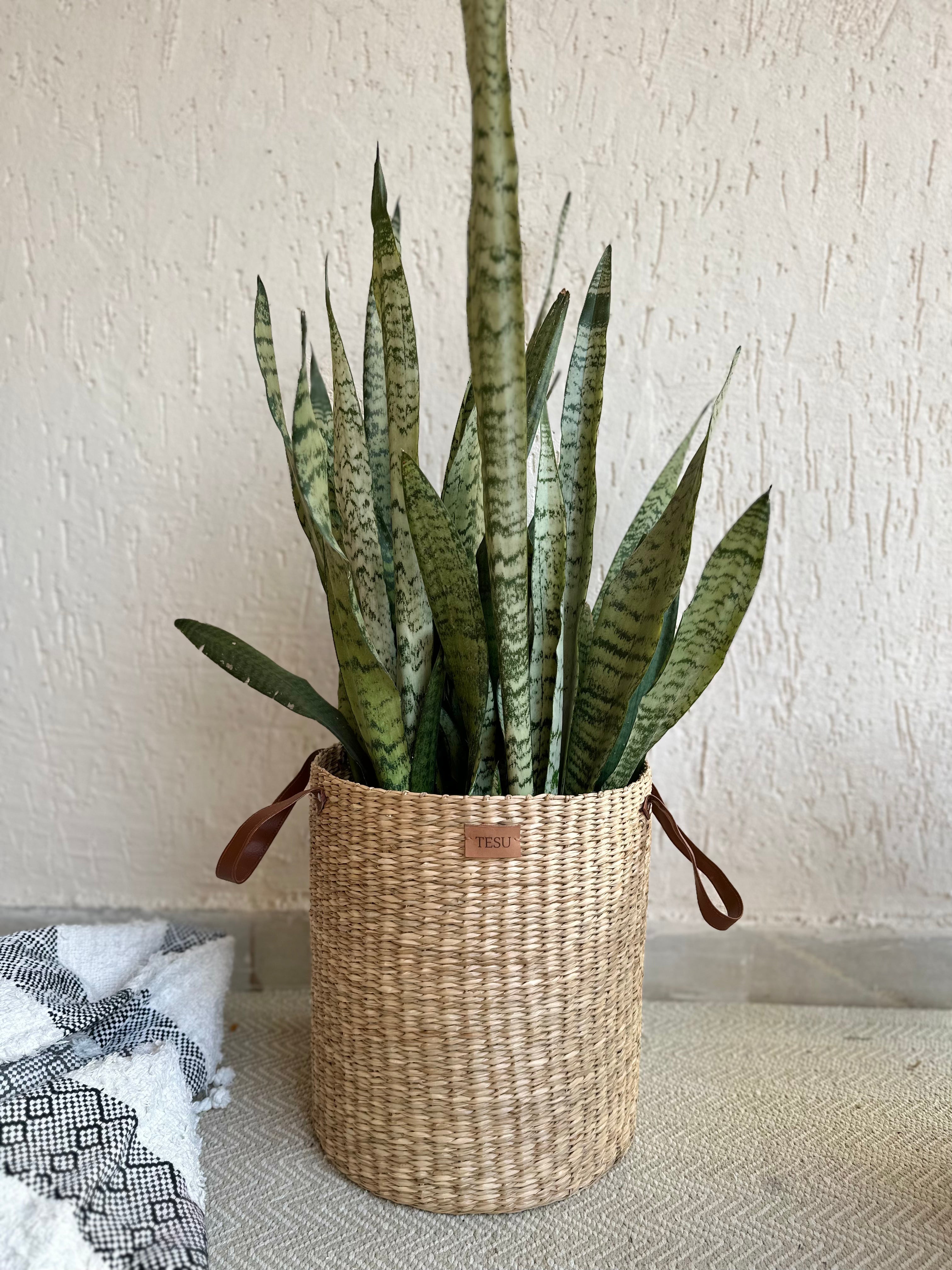 Seagrass Dense Storage Basket With Handle - Decor