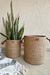 Seagrass Dense Storage Basket With Handle - Decor