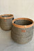Seagrass Plant Holder - Black / Sea Grass - Decor