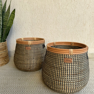 Seagrass Plant Holder - Black / Sea Grass - Decor