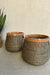 Seagrass Plant Holder - Black / Sea Grass - Decor