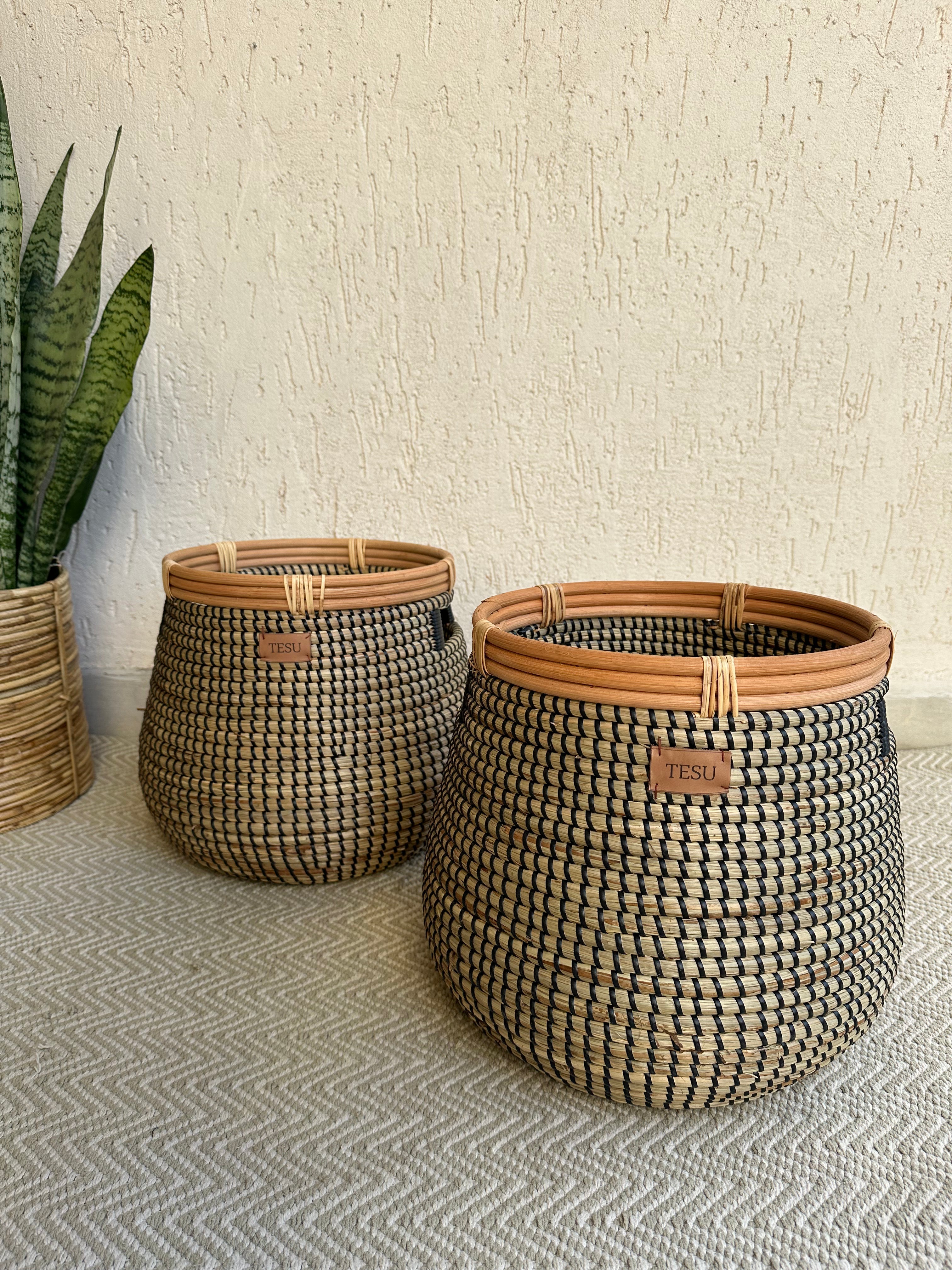 Seagrass Plant Holder - Black / Sea Grass - Decor