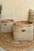 Seagrass Plant Holder - White / Sea Grass - Decor