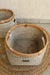 Seagrass Plant Holder - White / Sea Grass - Decor