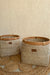 Seagrass Plant Holder - White / Sea Grass - Decor