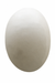 Selene Alabaster Wall Light - White / Alabaster / Small - Lighting