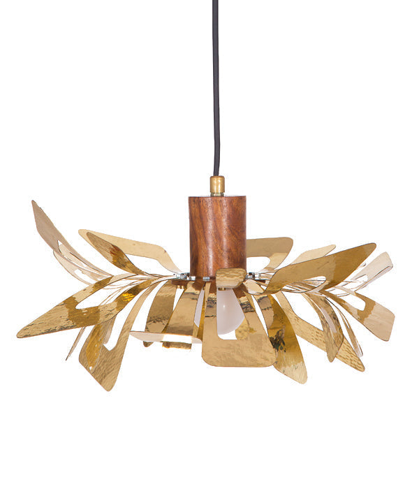 Shasta - gold / brass and wood - Lighting