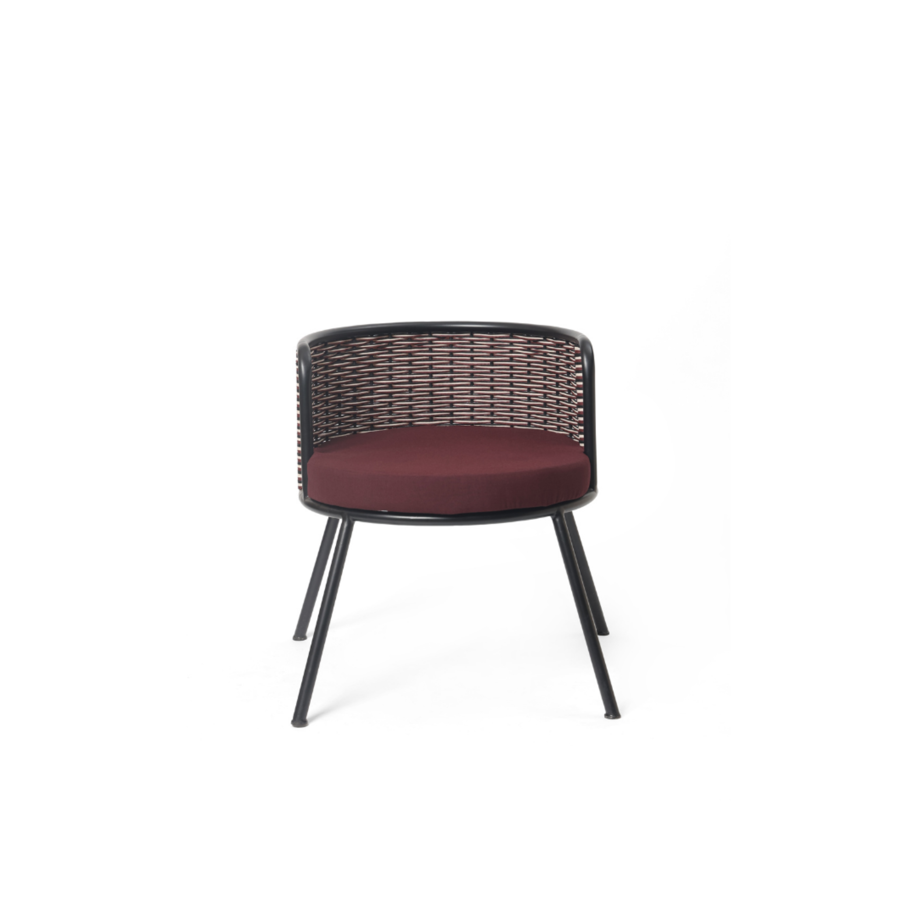 Rovin Curve Dining Chair – close-up of the finish and detailing