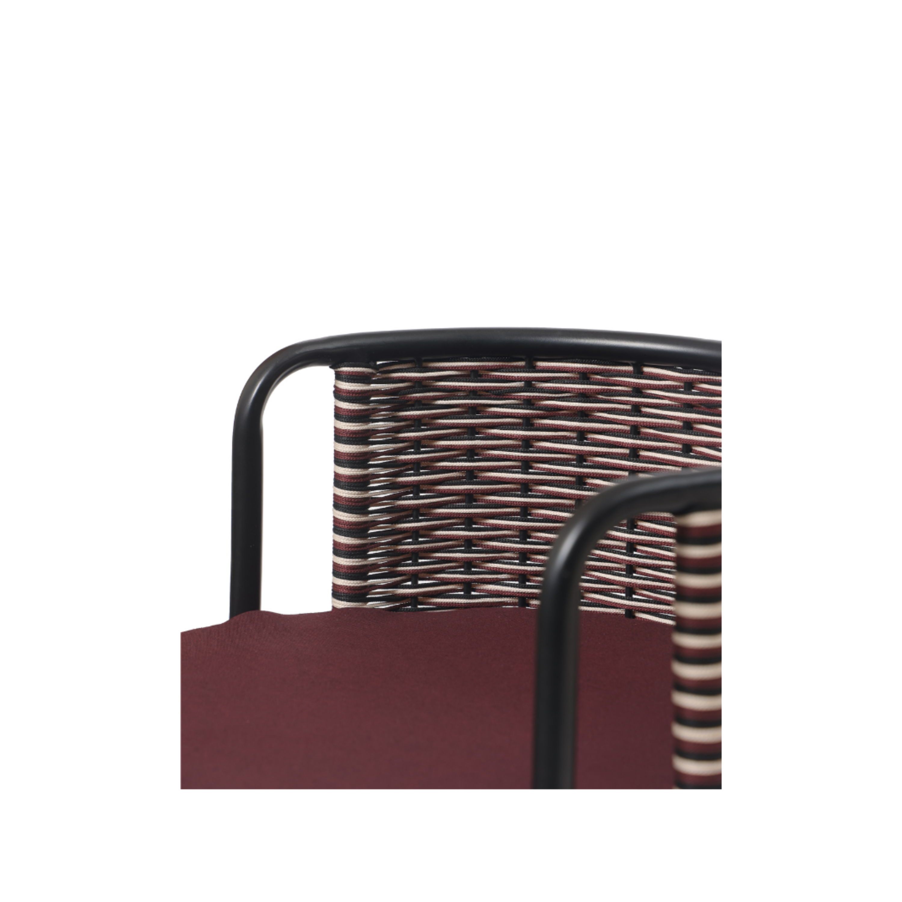Rovin Curve Dining Chair – styled in a living space