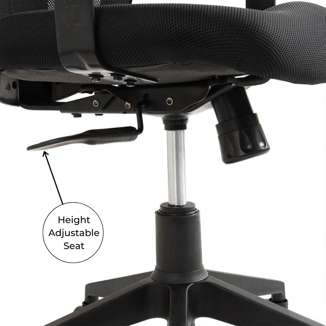 Swing Office Chair