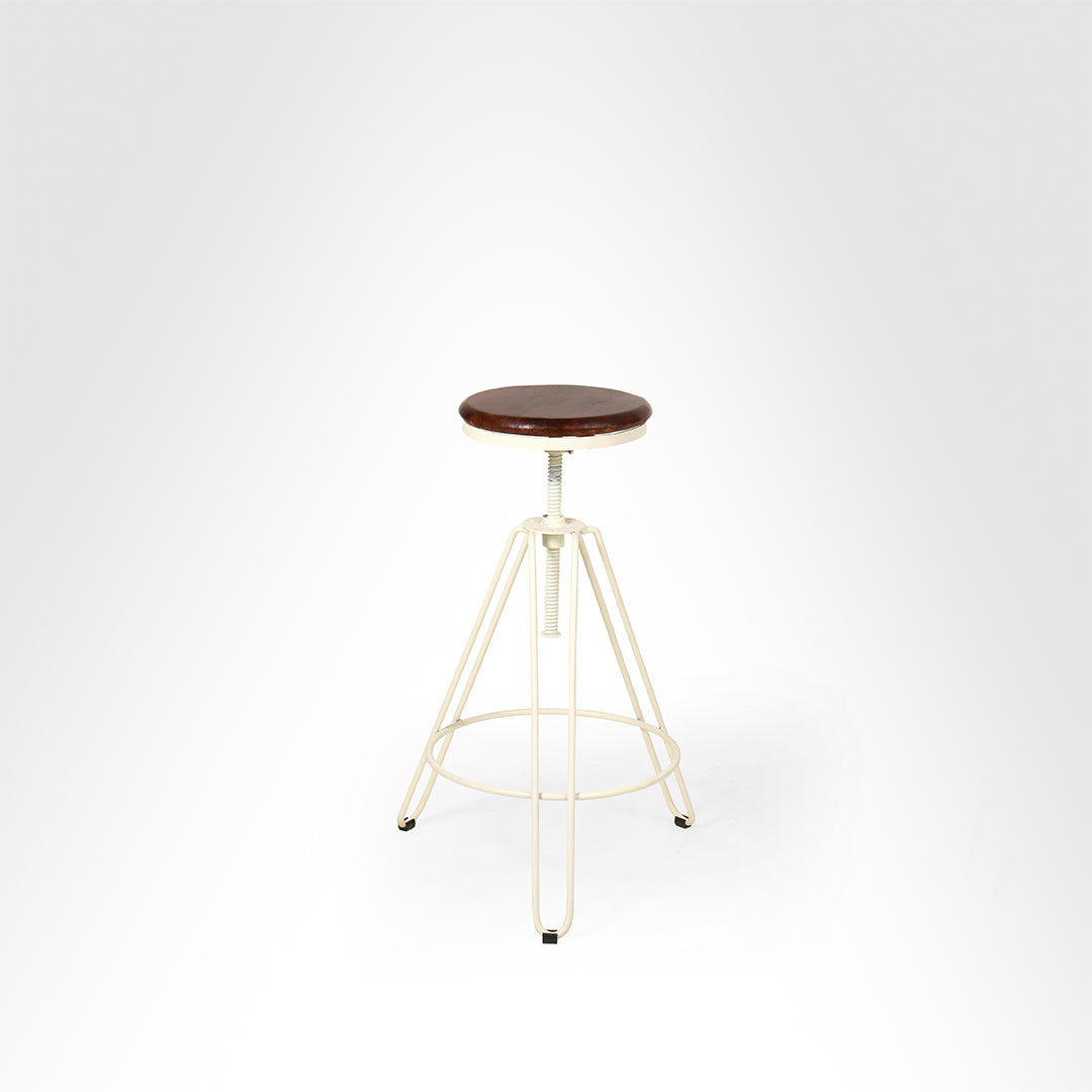 Swivel Bar Stool