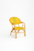 T Popsicle Cane Chair With Armrest - W: 24’’ D: 20’’ H: 35’’ SH: 18’’ / Yellow and Dark Green / Cane Frame and PVC