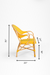 T Popsicle Cane Chair With Armrest - W: 24’’ D: 20’’ H: 35’’ SH: 18’’ / Yellow and Dark Green / Cane Frame and PVC