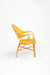 T Popsicle Cane Chair With Armrest - W: 24’’ D: 20’’ H: 35’’ SH: 18’’ / Yellow and Dark Green / Cane Frame and PVC