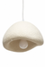 Terra Dome Pendant Light - Lighting