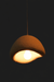Terra Dome Pendant Light - Lighting