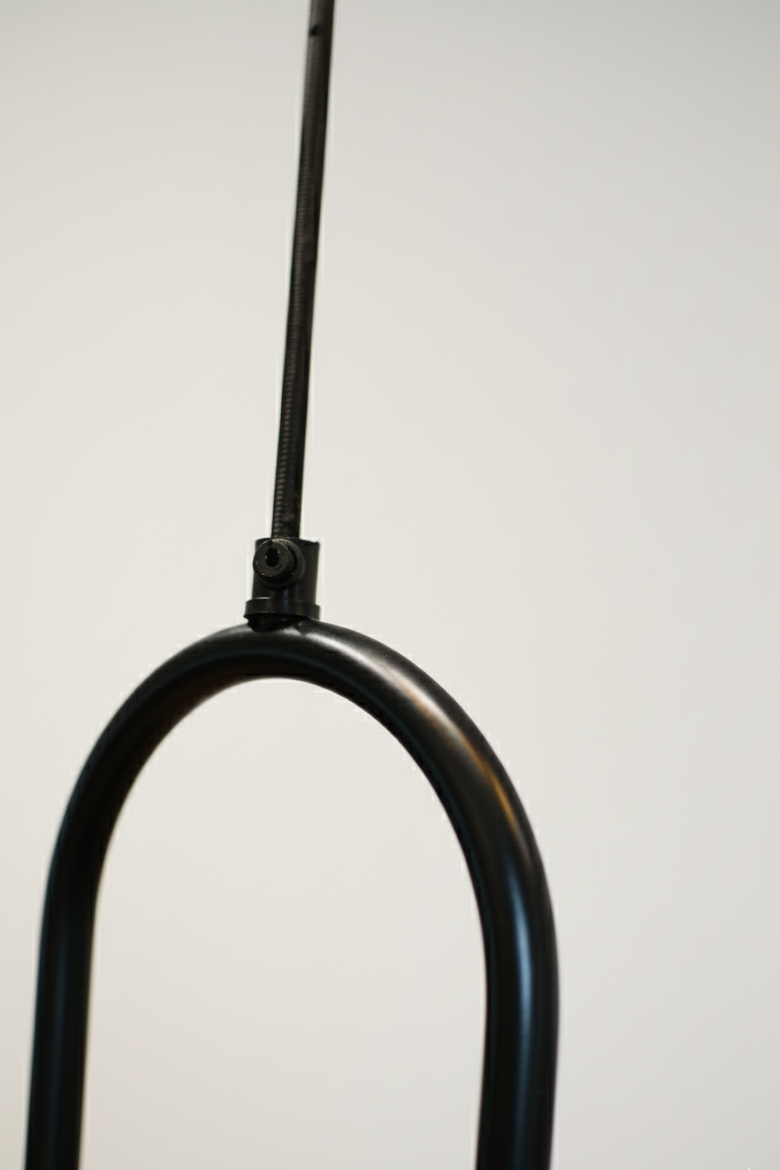 CLH183 The Focus Spot Pendant Light