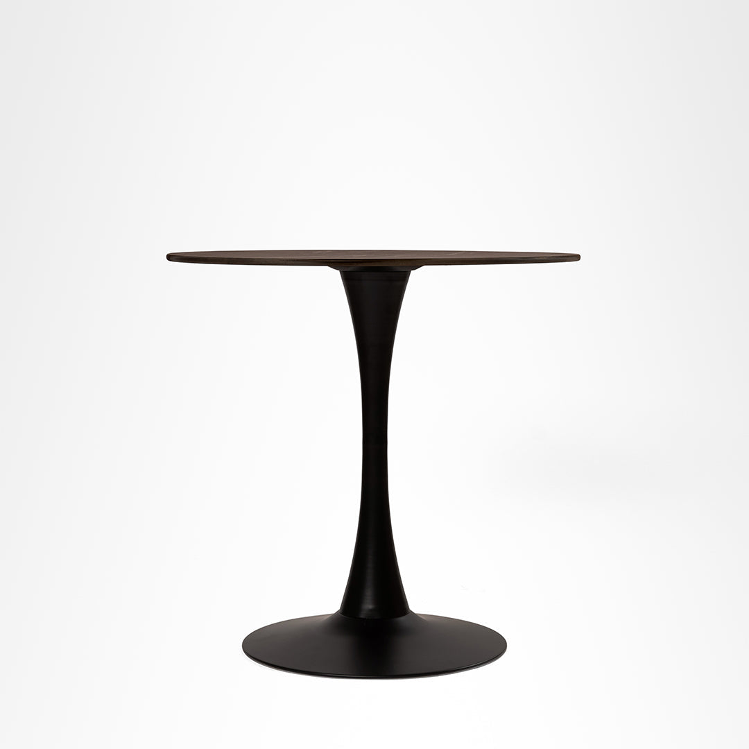 Tulip Metal Table with Tolix Chairs with Arms - Outdoor Furniture