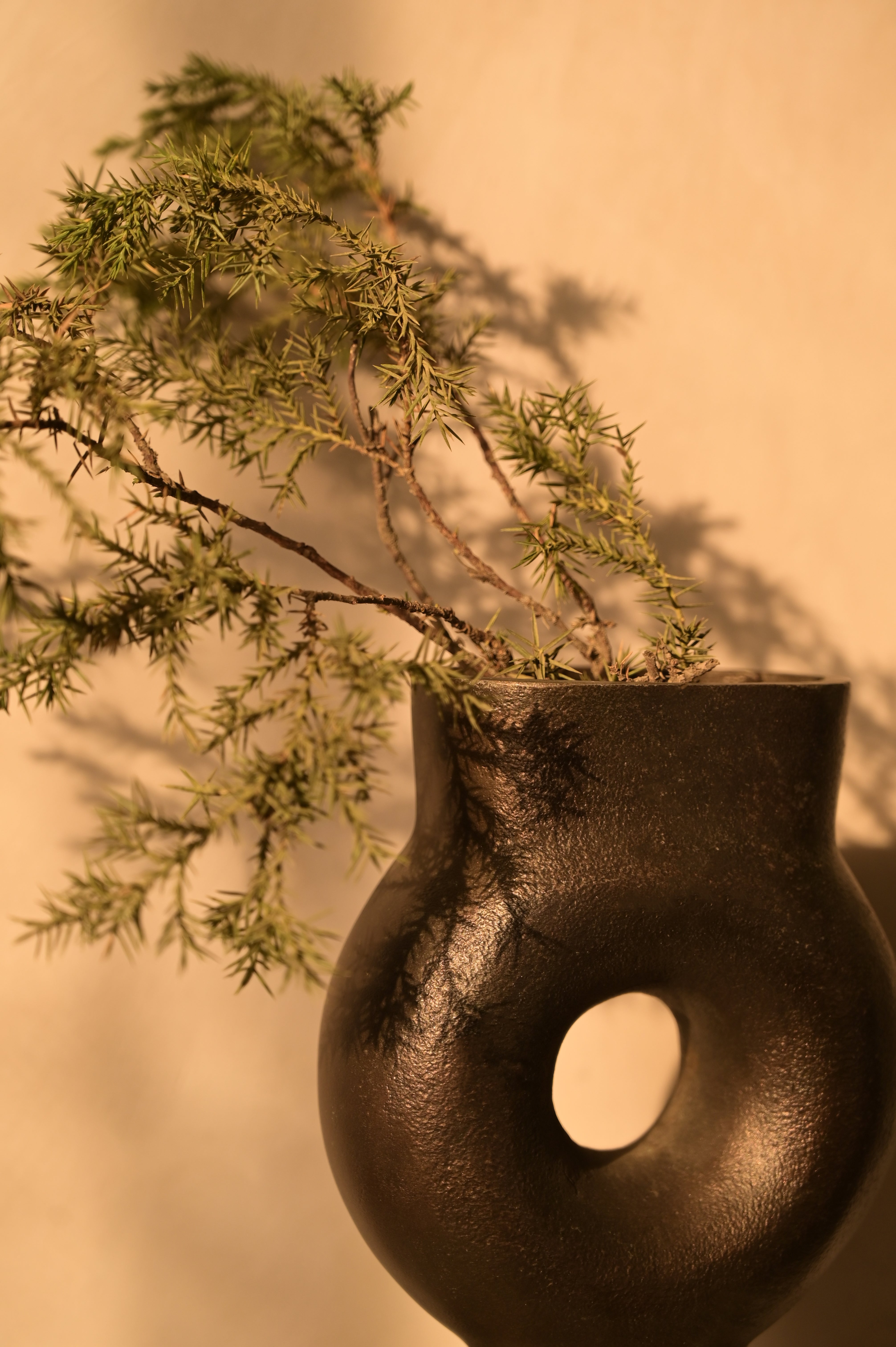 Velar Vase - L:5 x W:2 x H:15 In inches / Aluminium - Décor