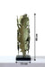 Vicia Table Lamp by homeblitz.in