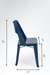 Viet Chair Set Of 2