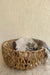 Water Hyacinth Cut-Work Basket - Natural / Water Hyacinth - Decor