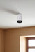 White LED Surface COB Ceiling Light - White / Height: 5.5’’ - Lighting