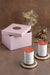 Yin Candles Plates + Aroma Candles _ Gift Box - black and rose gold / Stainless Steel, Marble and wax - Decor