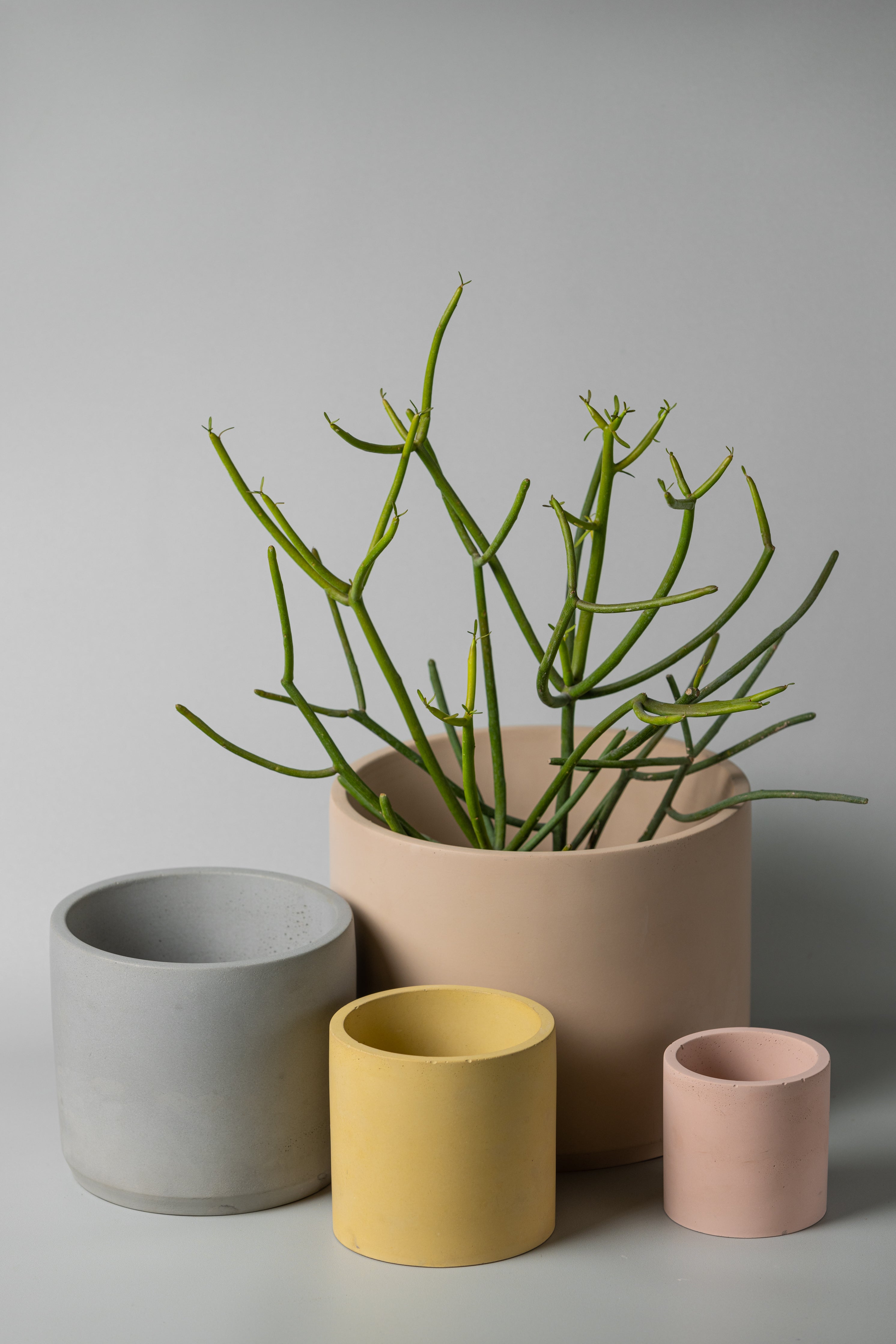 group of all sized cylinder planters for size reference