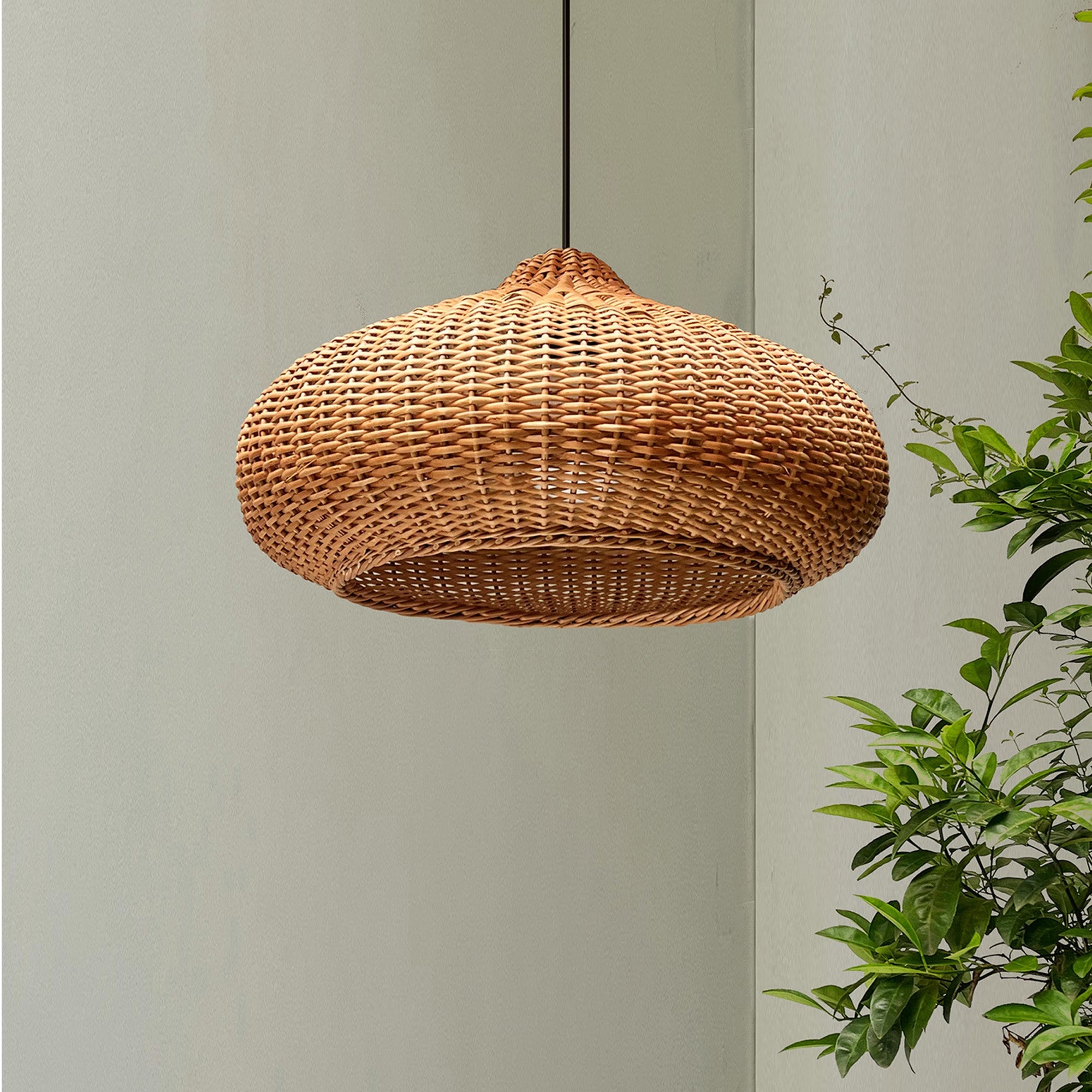 Akasa Pendant Lamp