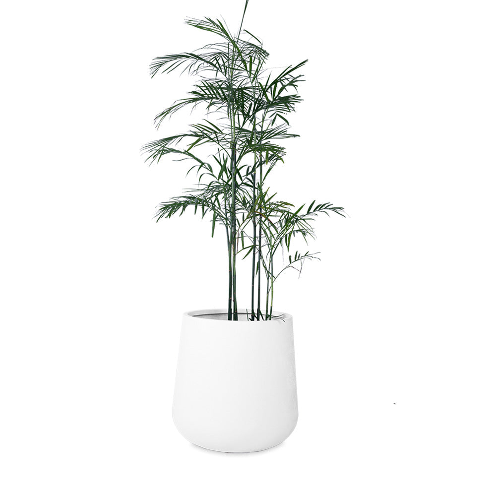 Aquilla Planter - Palasa