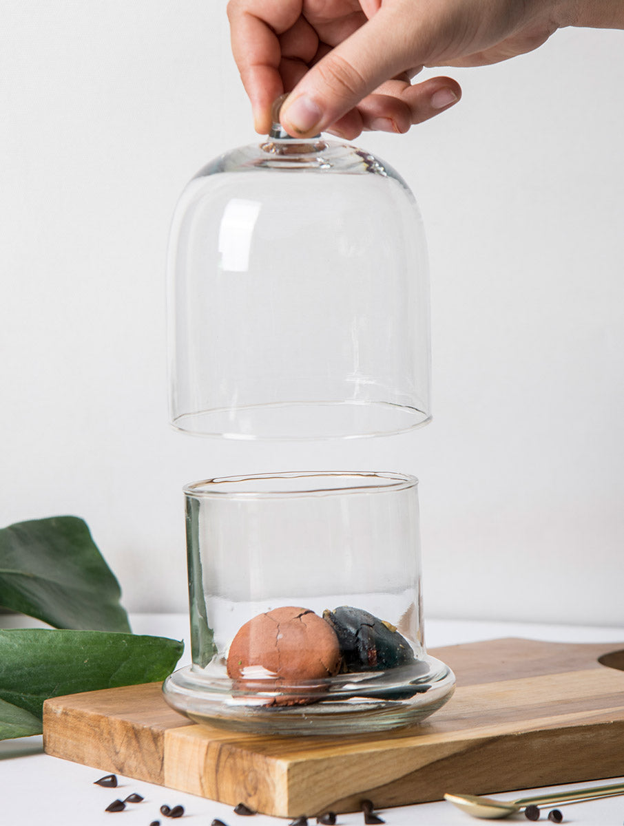 Glass Bell Jar - White