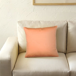 Khubaani Cushion Cover (Peach)