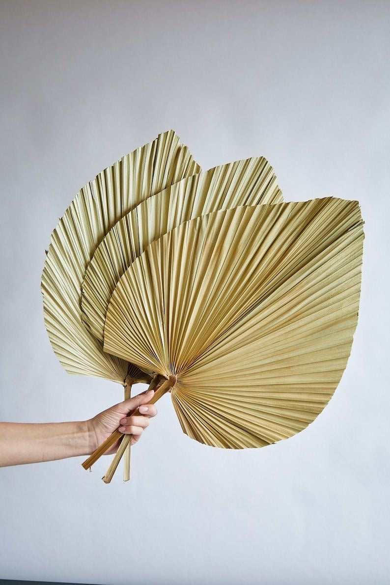 Palm Leaf Wall Fan ( set of 2 )