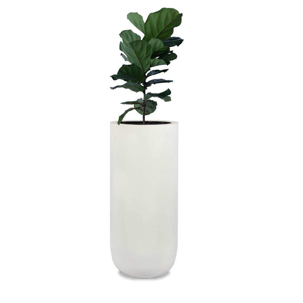 Condo Planter - Palasa