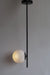 Glass Globe Fixed Ceiling Light Black Arm Pendant Lamp