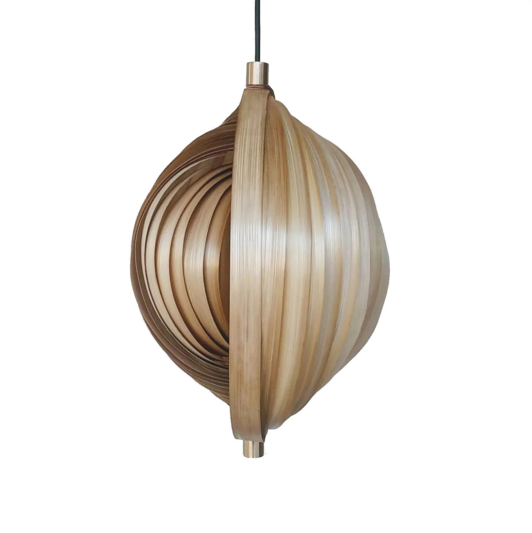 Seashell Pendant Lamp