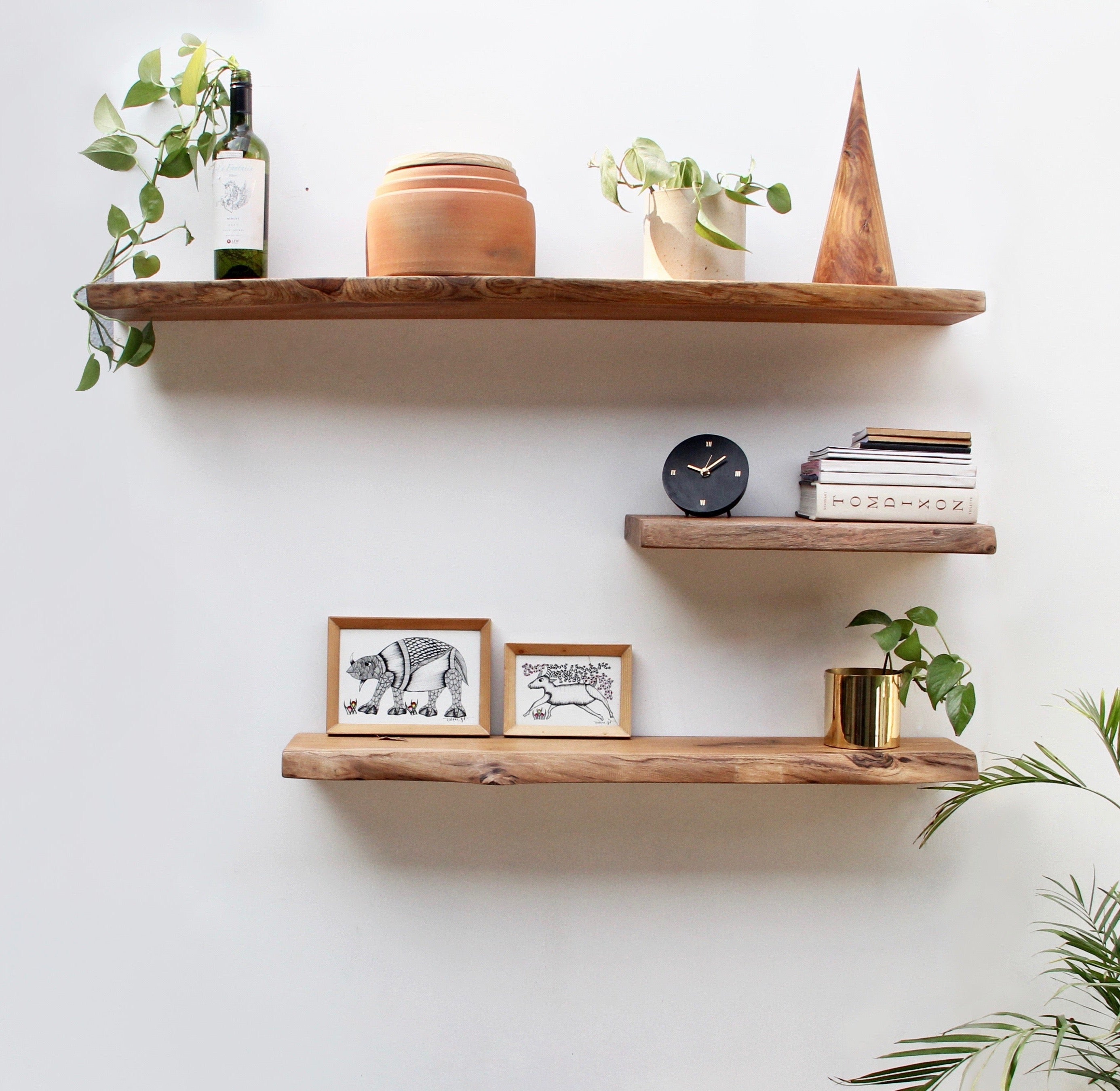Organic Shelves - Set Of 3