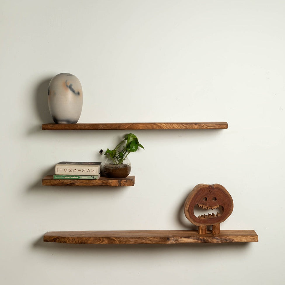 Organic Shelves - Set Of 3