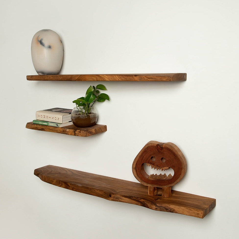 Organic Shelves - Set Of 3