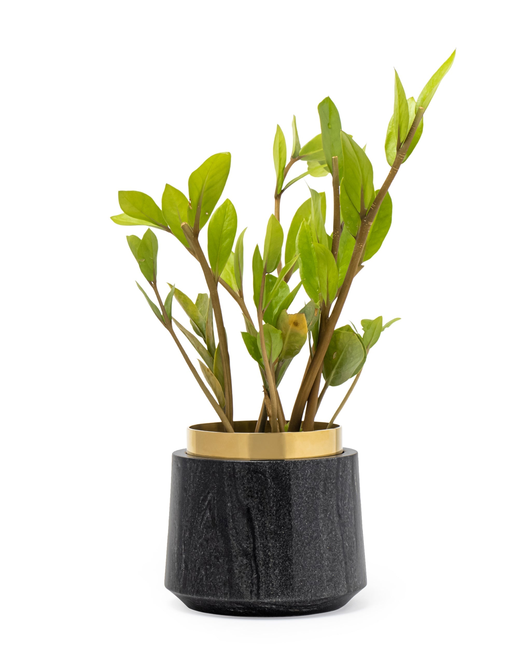 Oronoir Planter