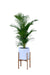 Rolld Medium White with Wood Stands - Palasa