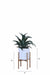 Rolld Medium White with Wood Stands - Palasa